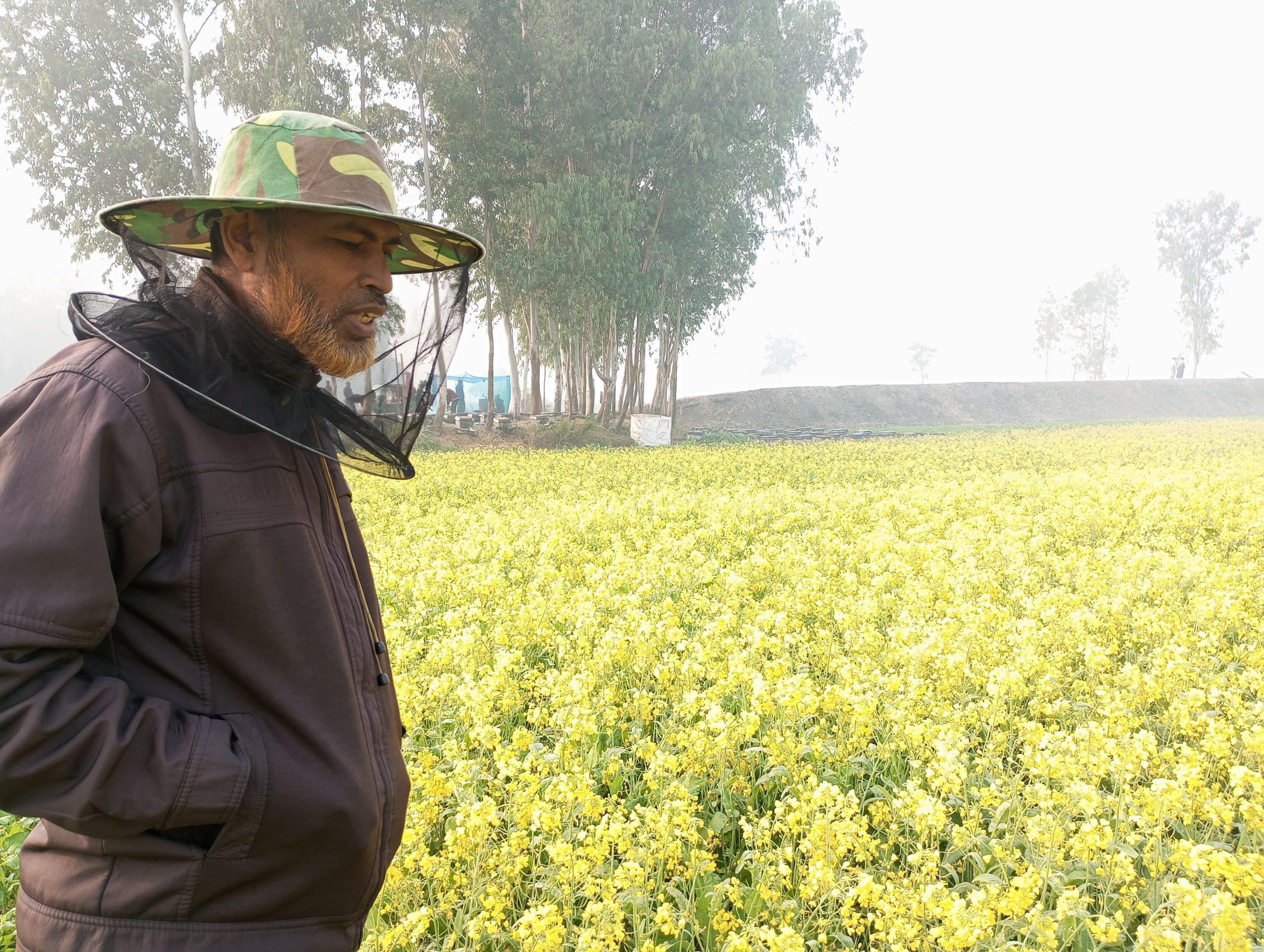 সরিষা ফুলের মধু - Image 2