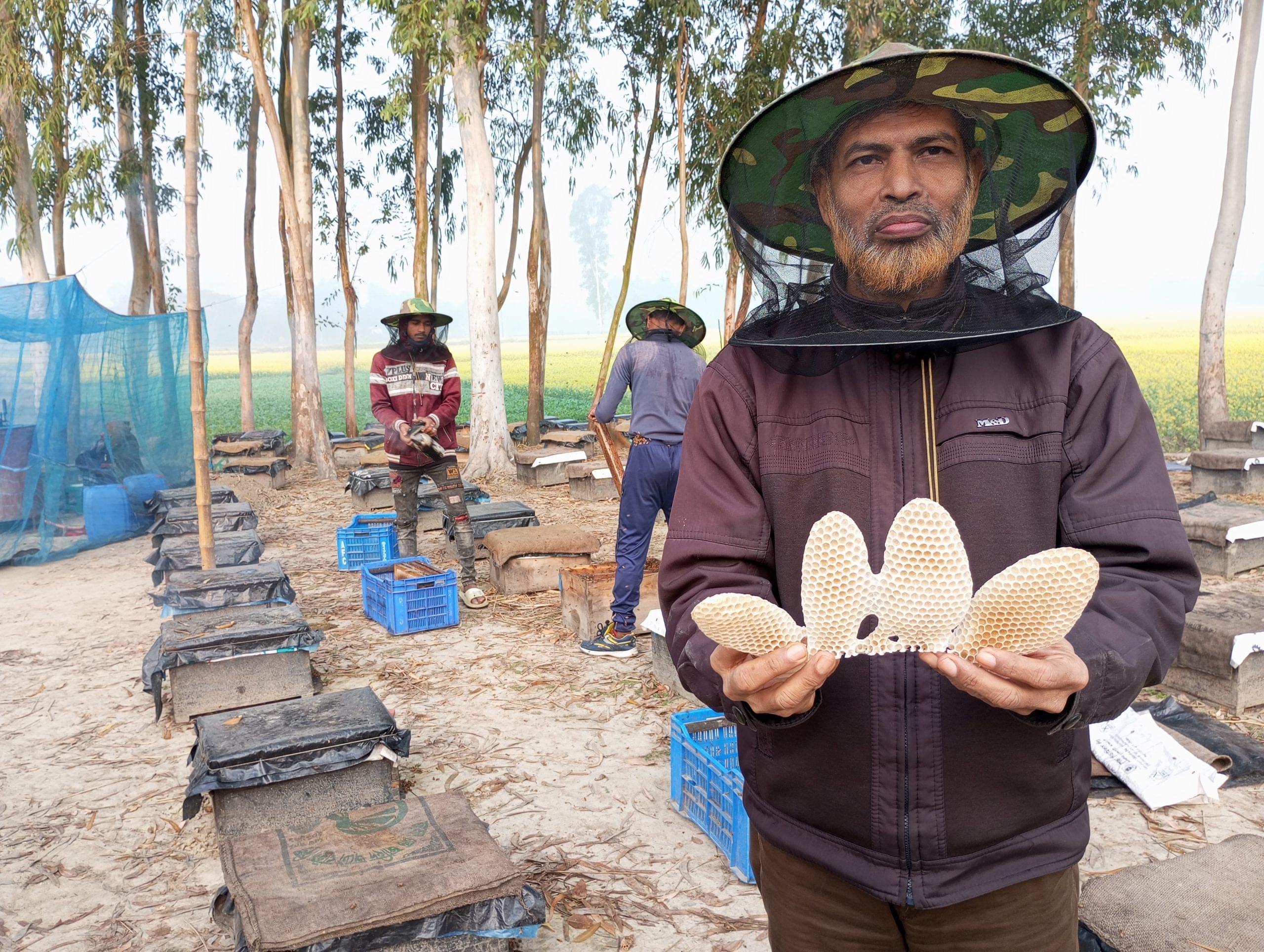 সরিষা ফুলের মধু - Image 4