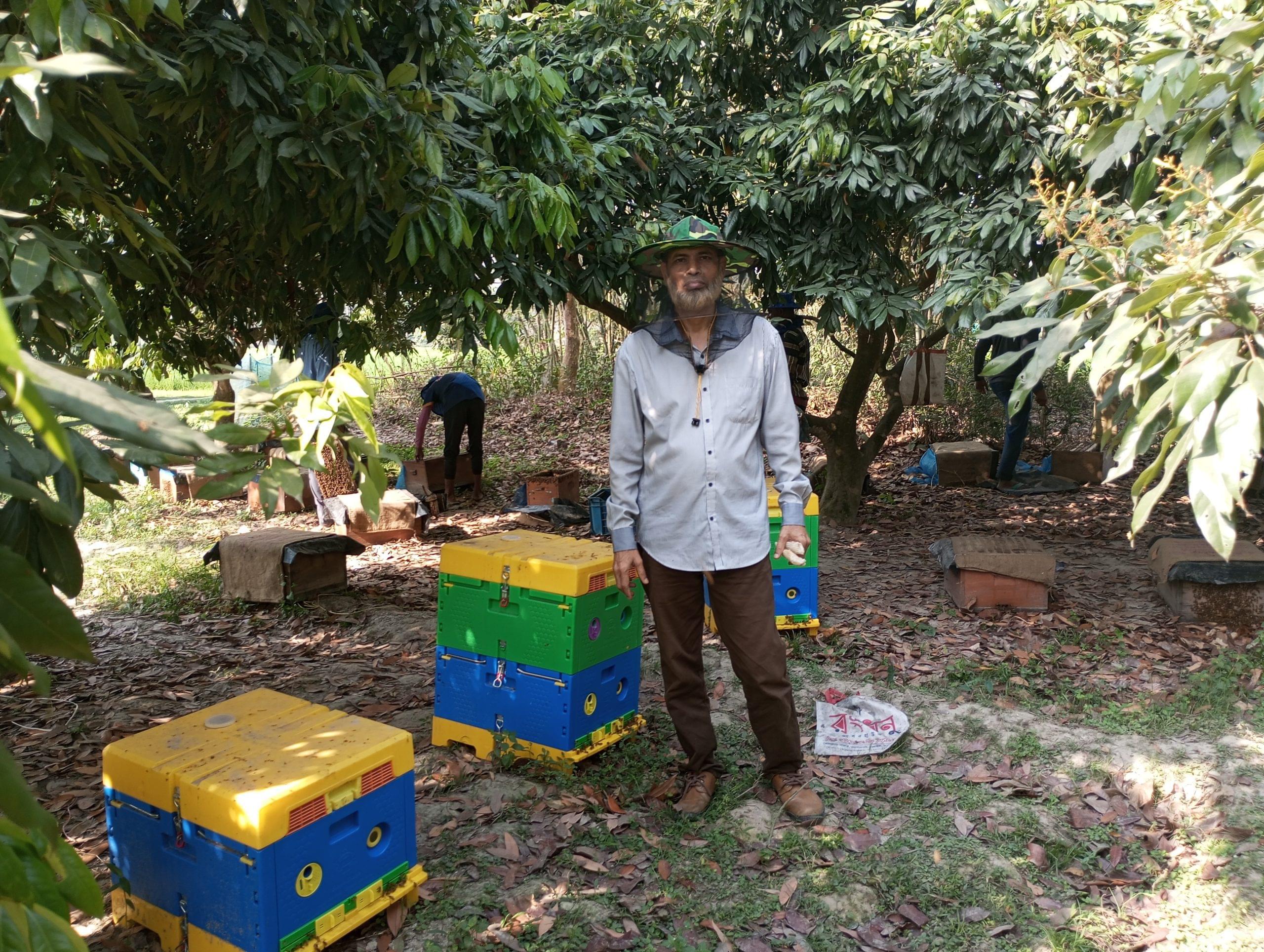 লিচু ফুলের মধু - Image 2